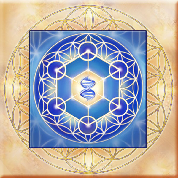 Practitioners-Foundation-Course-image.jpg