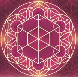 Metatronic Life Logo