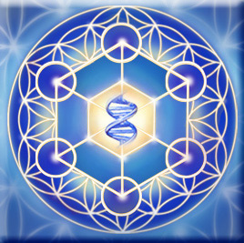 MH Practitioner LOGO 1 2016